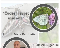 Predavanje – “Čudesni svijet insekata”